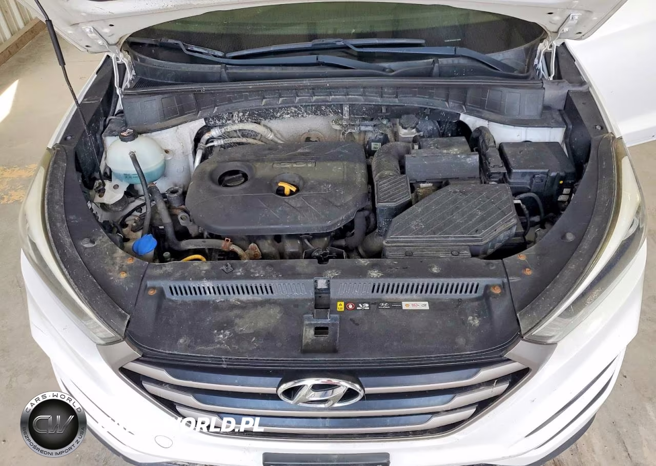 2016 Hyundai Tucson Se VIN:KM8J3CA40GU175846 - 12