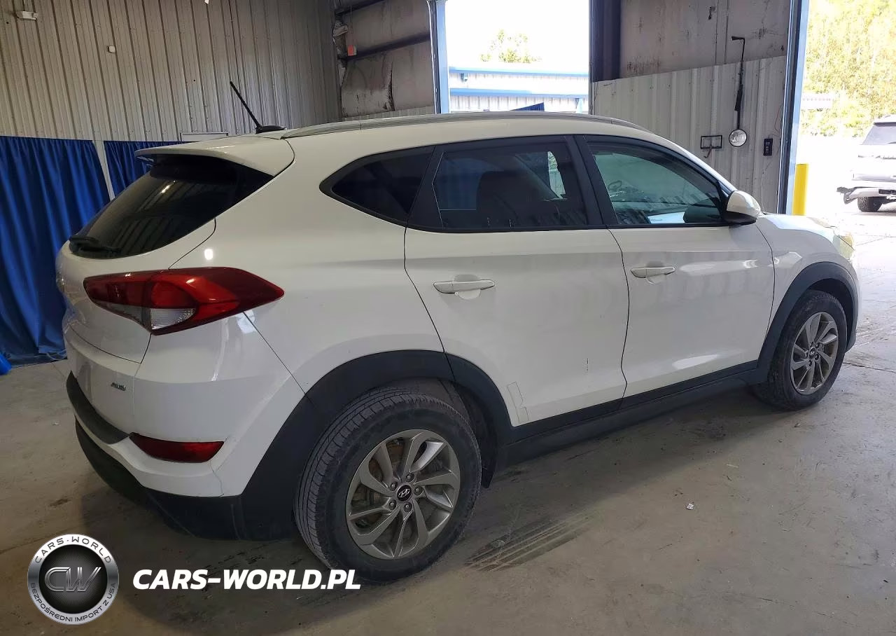 2016 Hyundai Tucson Se VIN:KM8J3CA40GU175846 - 3