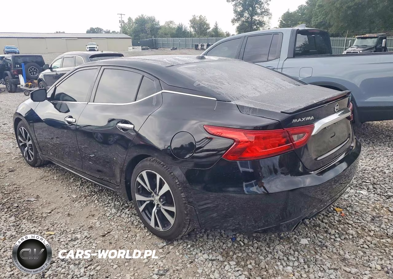 2017 Nissan Maxima Platinum VIN:1N4AA6AP0HC428425 - 2