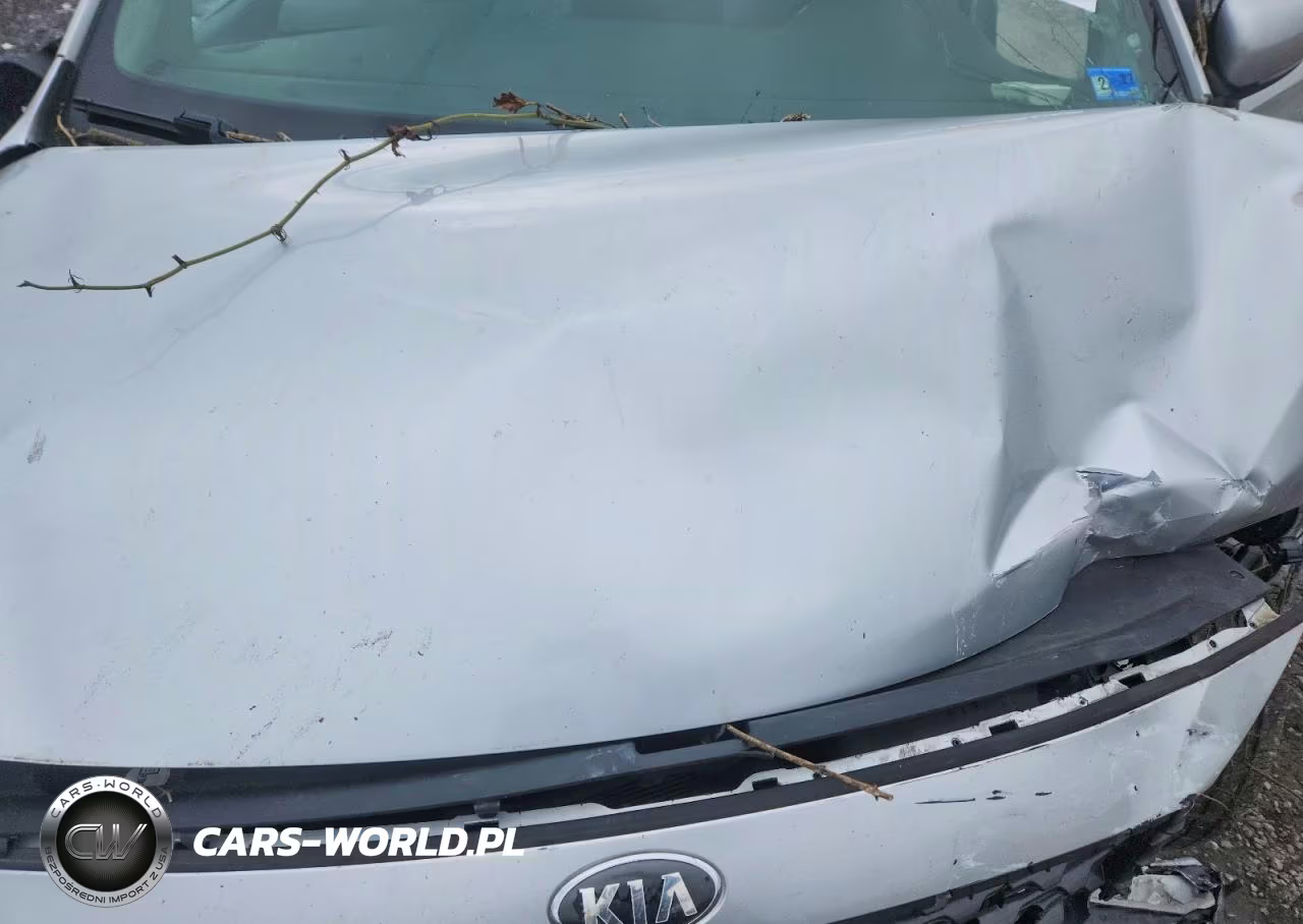 2019 Kia Sedona Ex VIN:KNDMB5C11K6559831 - 11