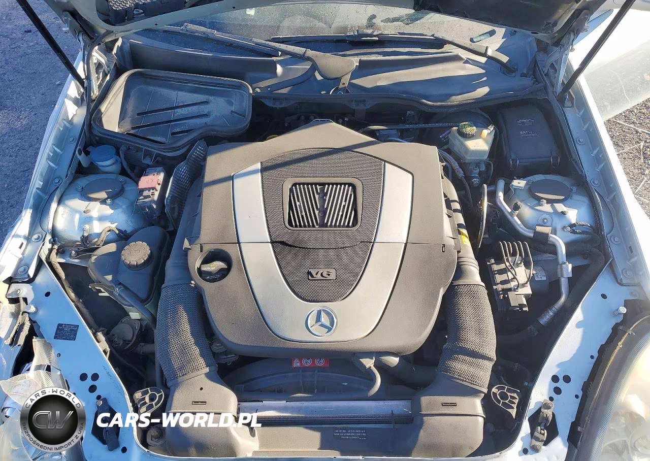 2006 Mercedes-Benz Slk 350 VIN:WDBWK56F16F083858 - 11