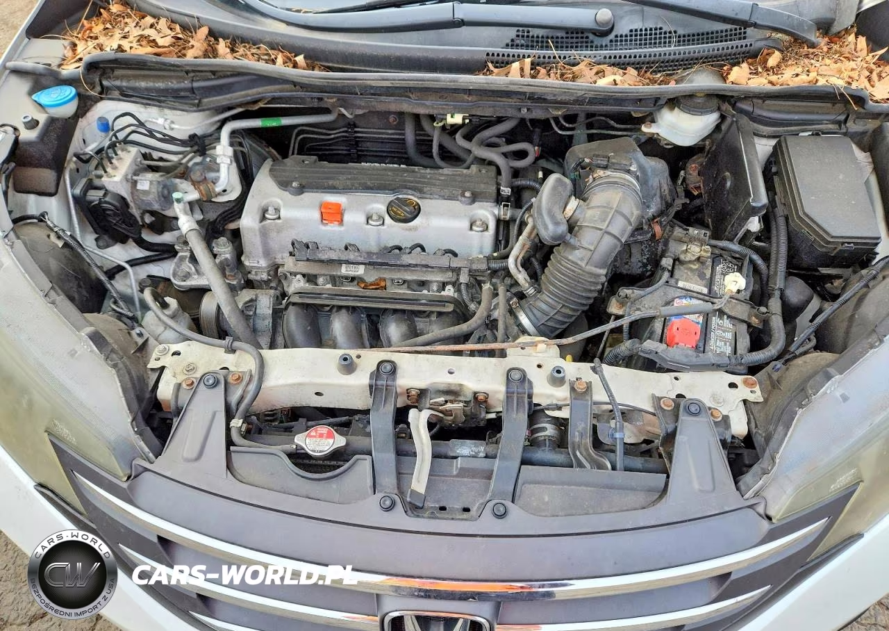 2014 Honda Cr-V Exl VIN:5J6RM4H76EL035999 - 12