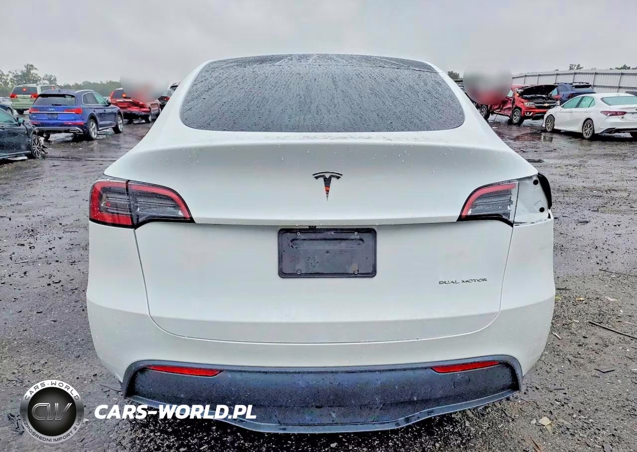 2023 Tesla Model Y VIN:7SAYGDEE6PA093581 - 6