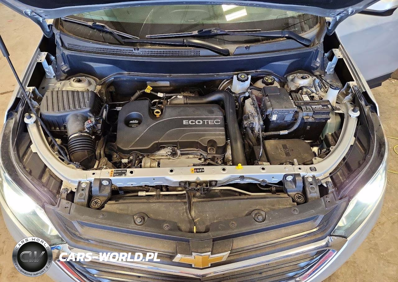 2019 Chevrolet Equinox Lt VIN:2GNAXUEV1K6217120 - 12
