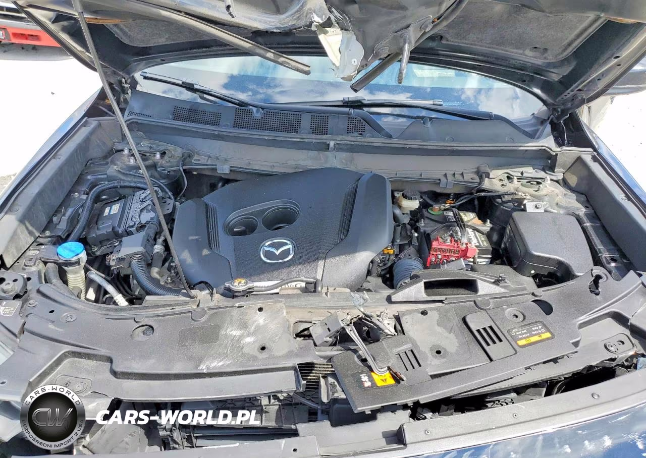 2020 Mazda Cx-9 Grand Touring VIN:JM3TCADY3L0422091 - 12