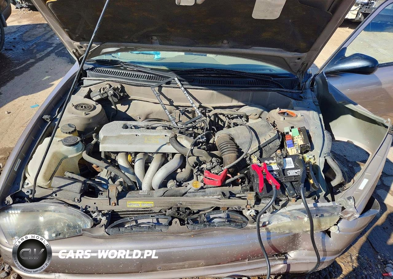 1998 Toyota Corolla Ve VIN:1NXBR12E3WZ130350 - 11