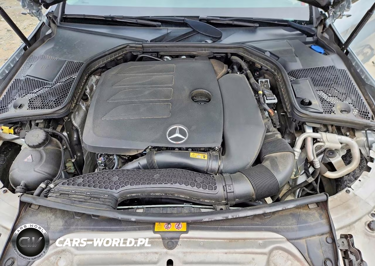 2021 Mercedes-Benz C 300 VIN:W1KWF8DB1MR644844 - 11
