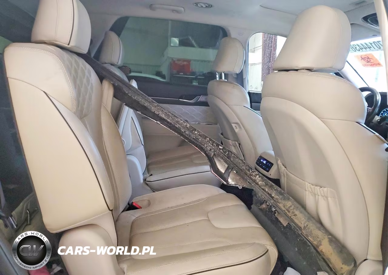 2020 Hyundai Palisade Limited VIN:KM8R54HE2LU052951 - 11