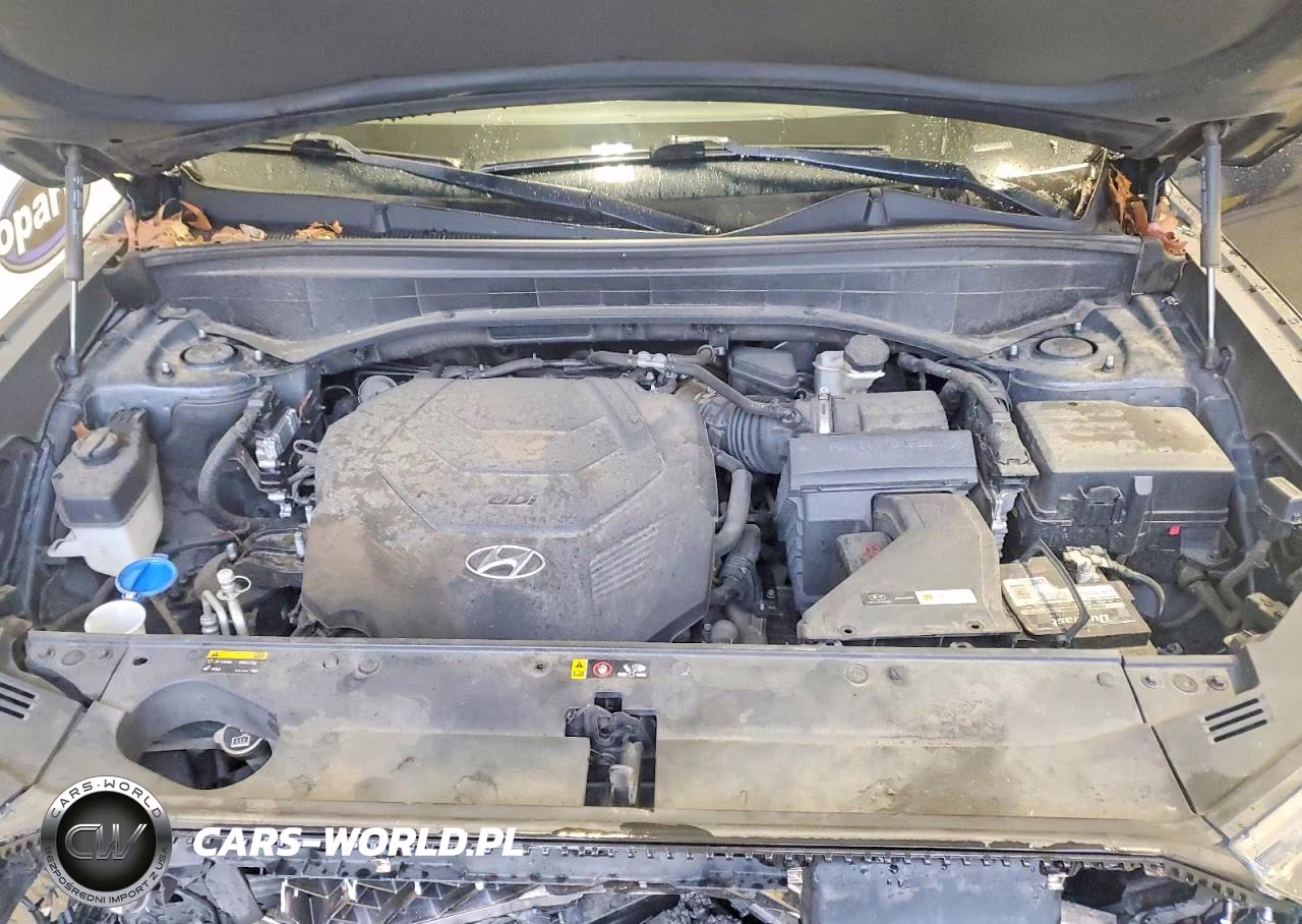 2020 Hyundai Palisade Limited VIN:KM8R54HE2LU052951 - 12