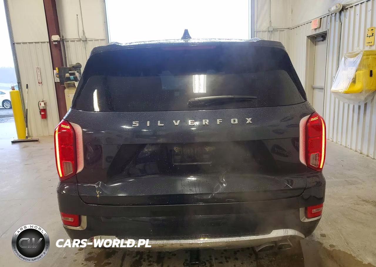 2020 Hyundai Palisade Limited VIN:KM8R54HE2LU052951 - 6