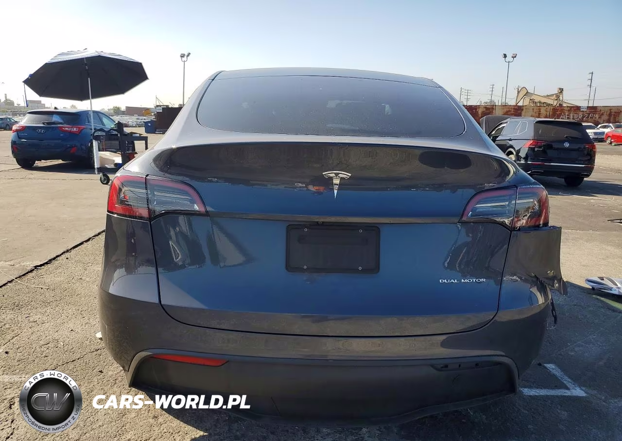 2023 Tesla Model Y VIN:7SAYGDEF2PA048534 - 6