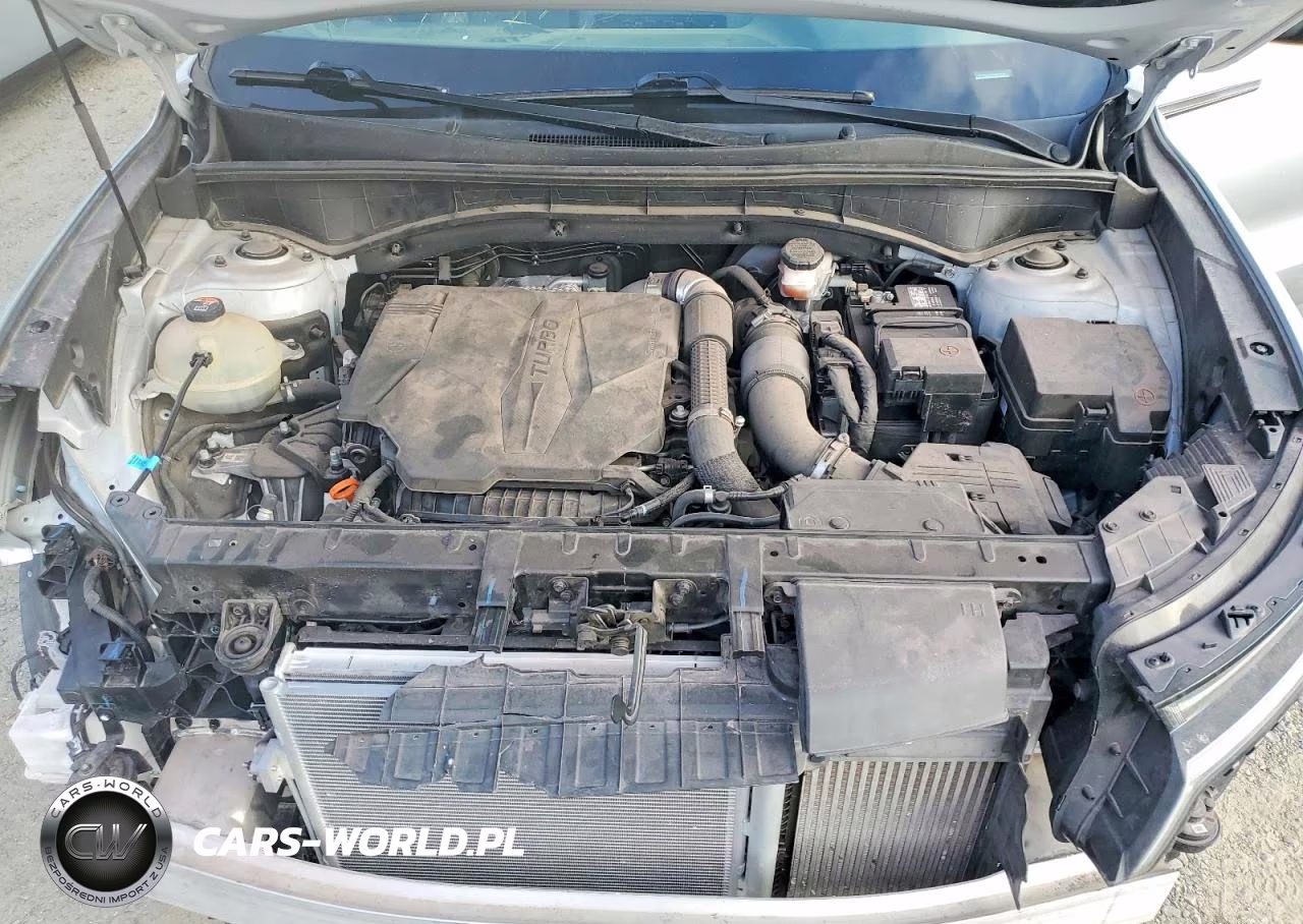 2022 Kia Sorento X-Line Sx Prestige VIN:5XYRKDLF0NG075484 - 12