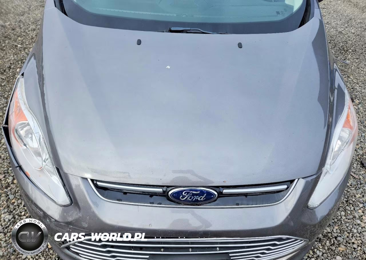 2013 Ford C-Max Se VIN:1FADP5AUXDL517747 - 12