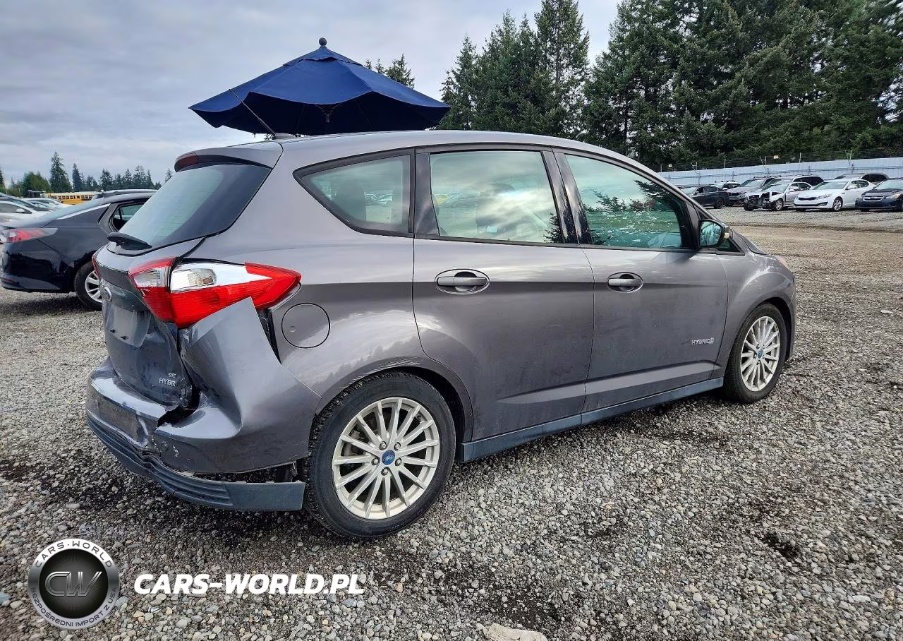 2013 Ford C-Max Se VIN:1FADP5AUXDL517747 - 3