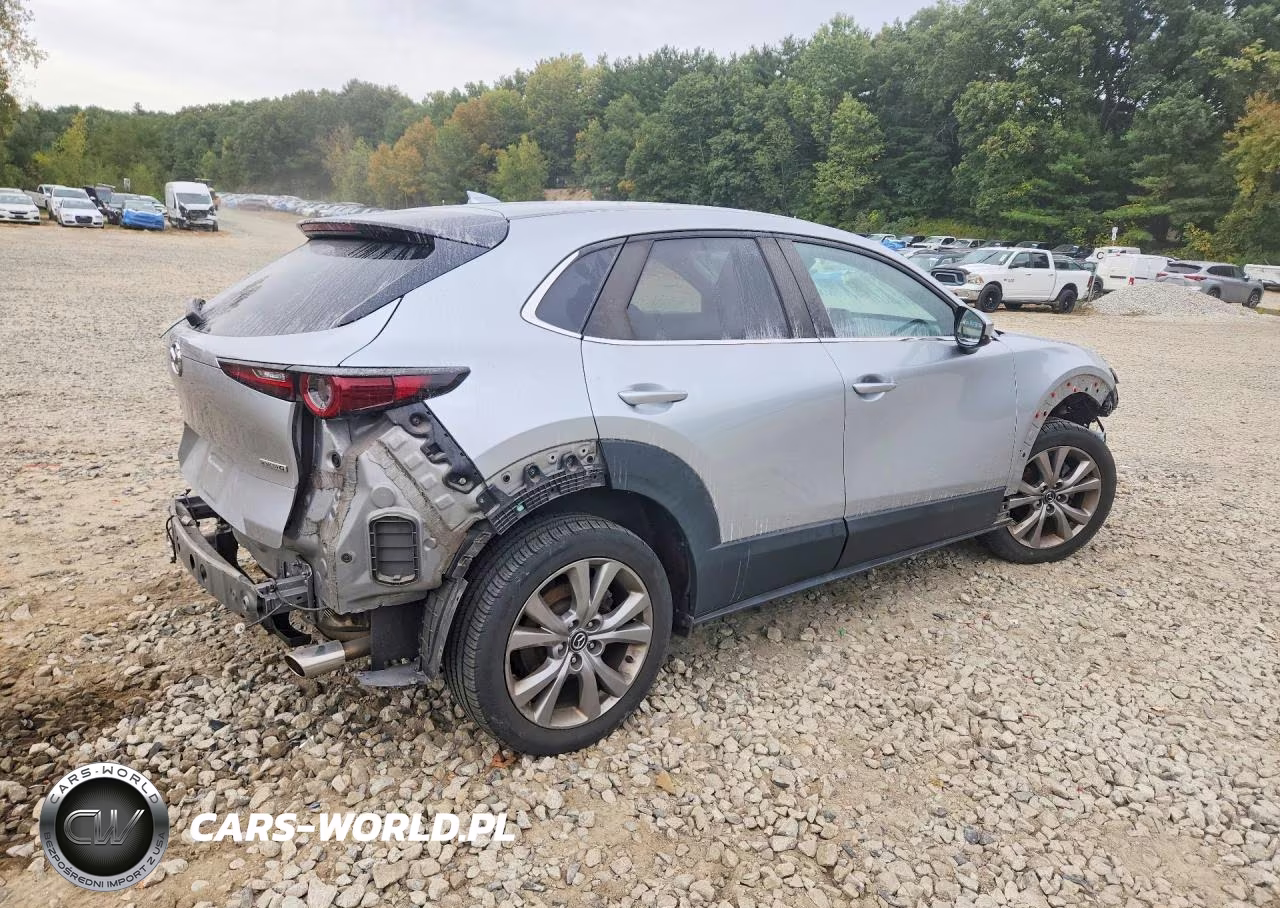 2020 Mazda Cx-30 Preferred VIN:3MVDMBDL8LM116648 - 3