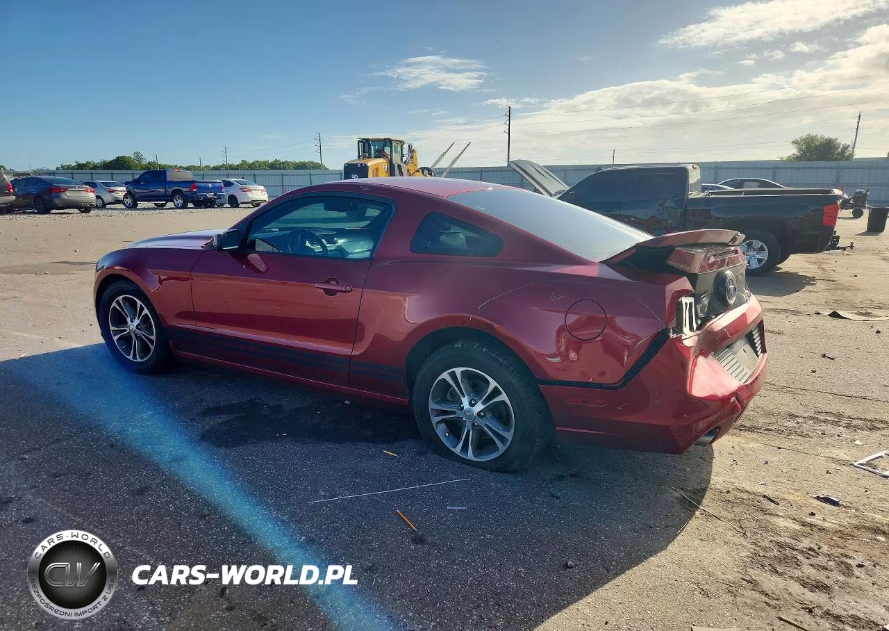2014 Ford Mustang VIN:1ZVBP8AM5E5325271 - 2