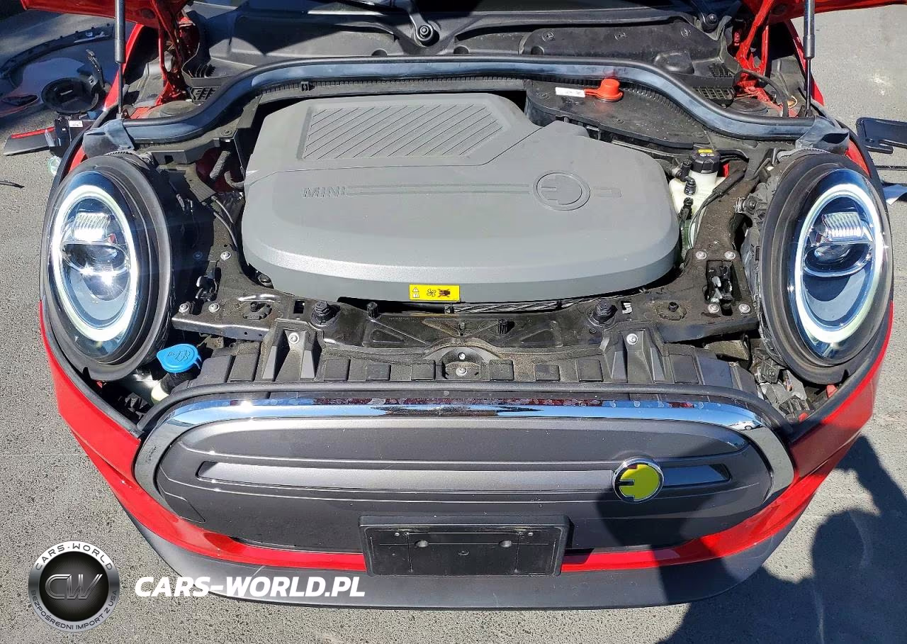 2021 Mini Cooper VIN:WMWXP3C05M2N34089 - 11