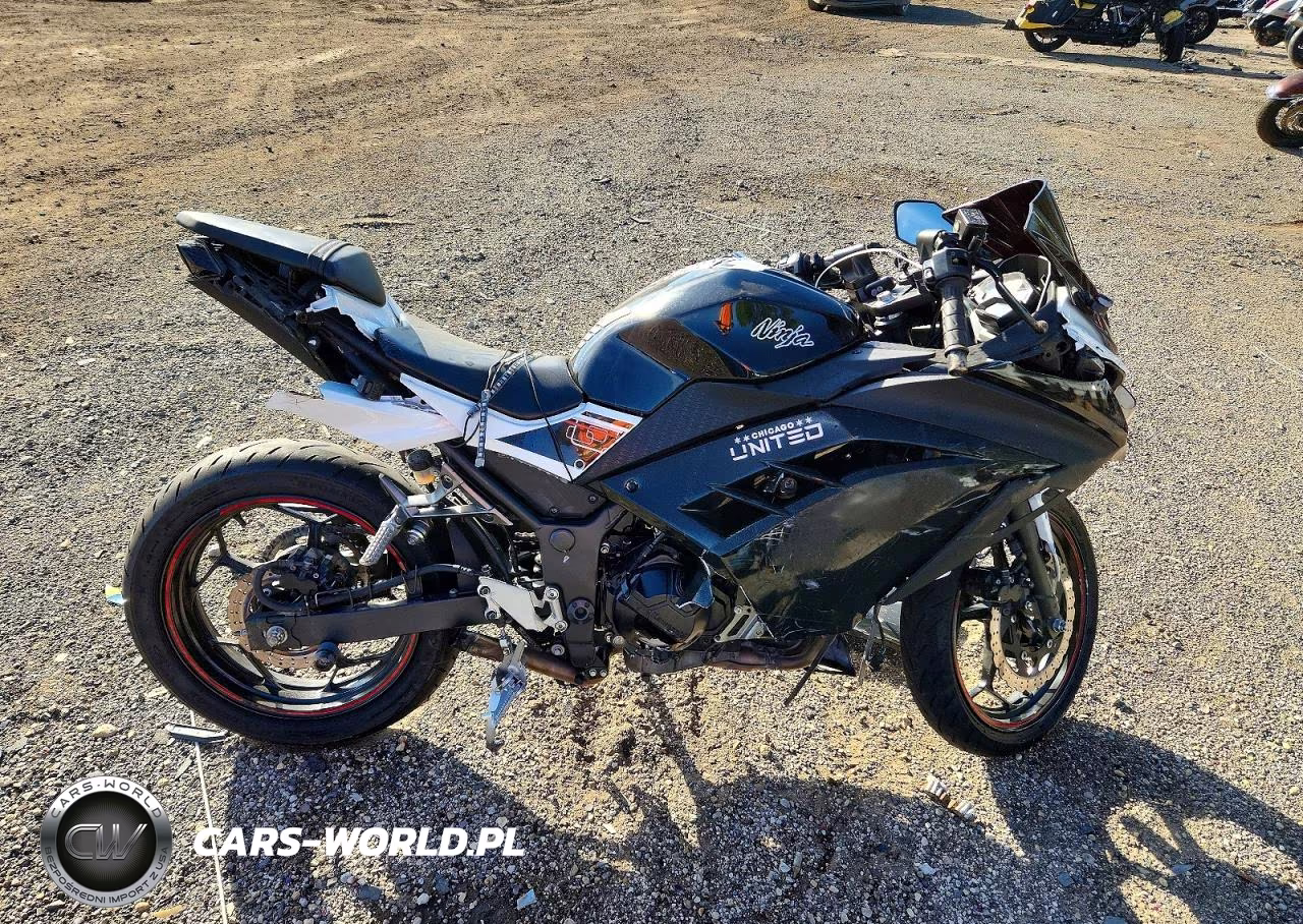 2014 Kawasaki Ex300 VIN:JKAEX8A12EA003436 - 1