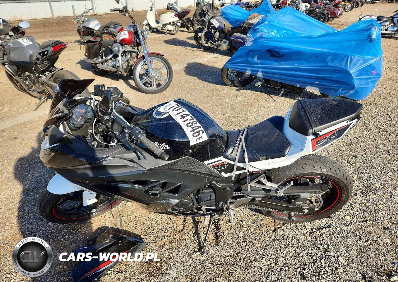 2014 Kawasaki Ex300 VIN:JKAEX8A12EA003436 - 3