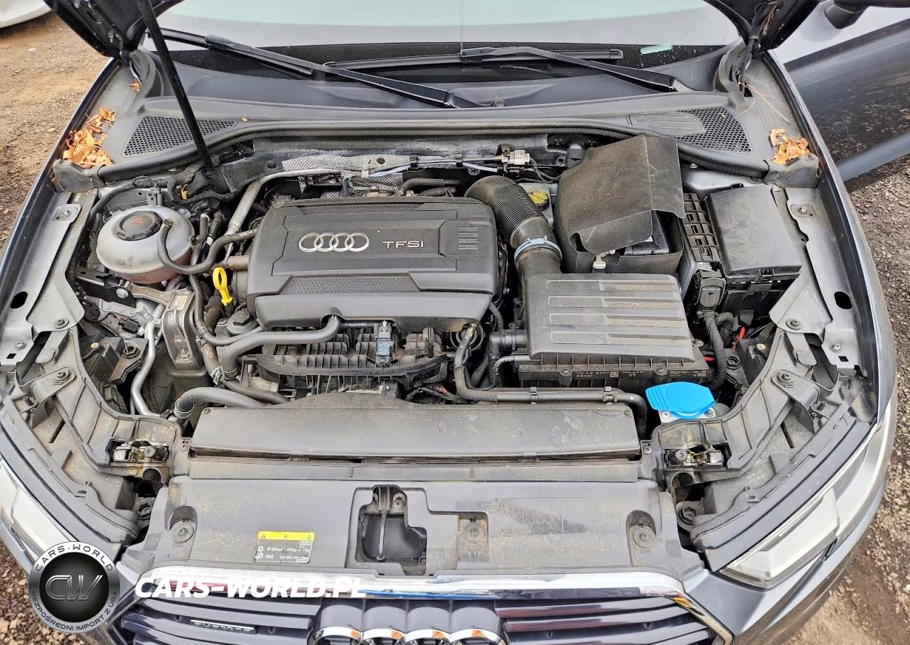 2018 Audi A3 Premium VIN:WAUB8GFFXJ1017905 - 11