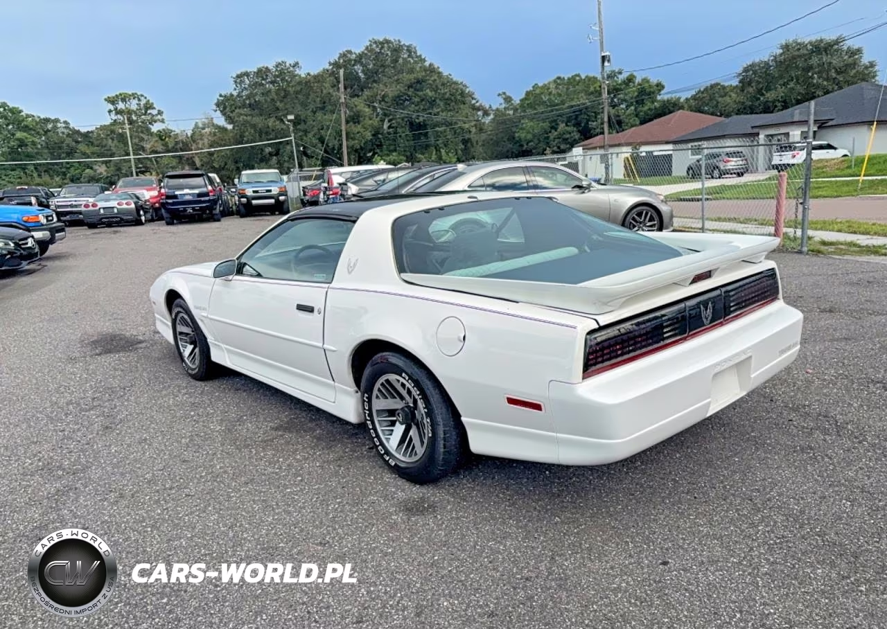 1990 Pontiac Firebird Trans Am VIN:1G2FW23F6LL218262 - 3