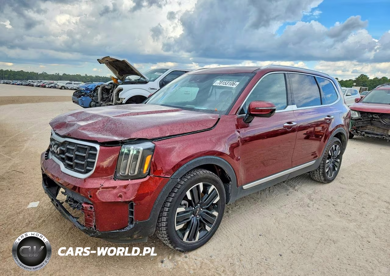 2024 Kia Telluride Sx-Prestige VIN:5XYP5DGC5RG427544 - 1