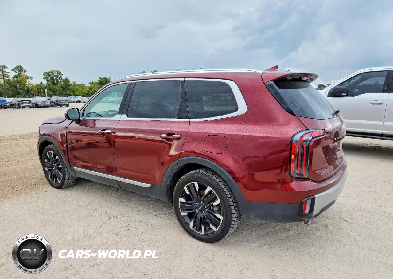2024 Kia Telluride Sx-Prestige VIN:5XYP5DGC5RG427544 - 2