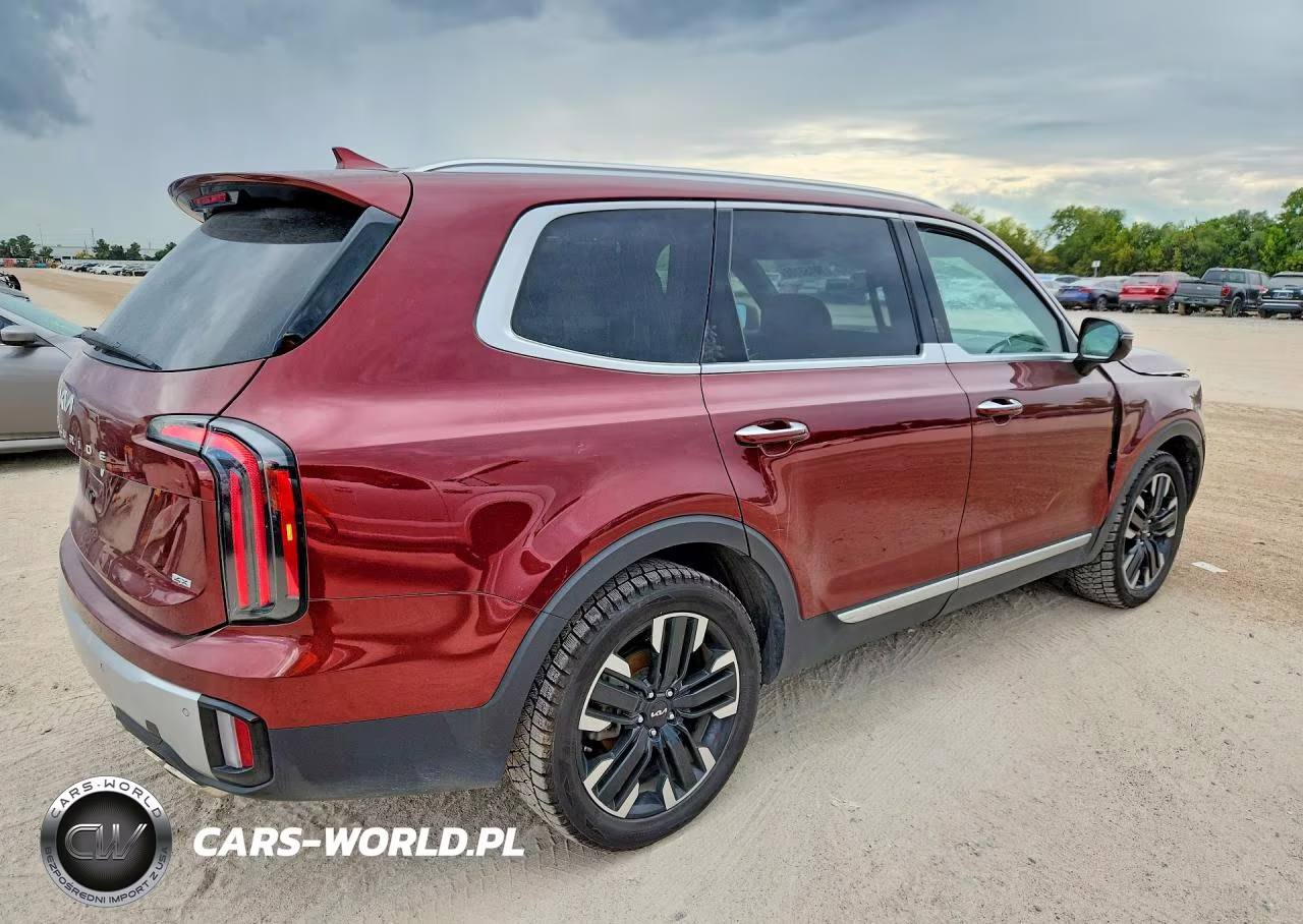 2024 Kia Telluride Sx-Prestige VIN:5XYP5DGC5RG427544 - 3