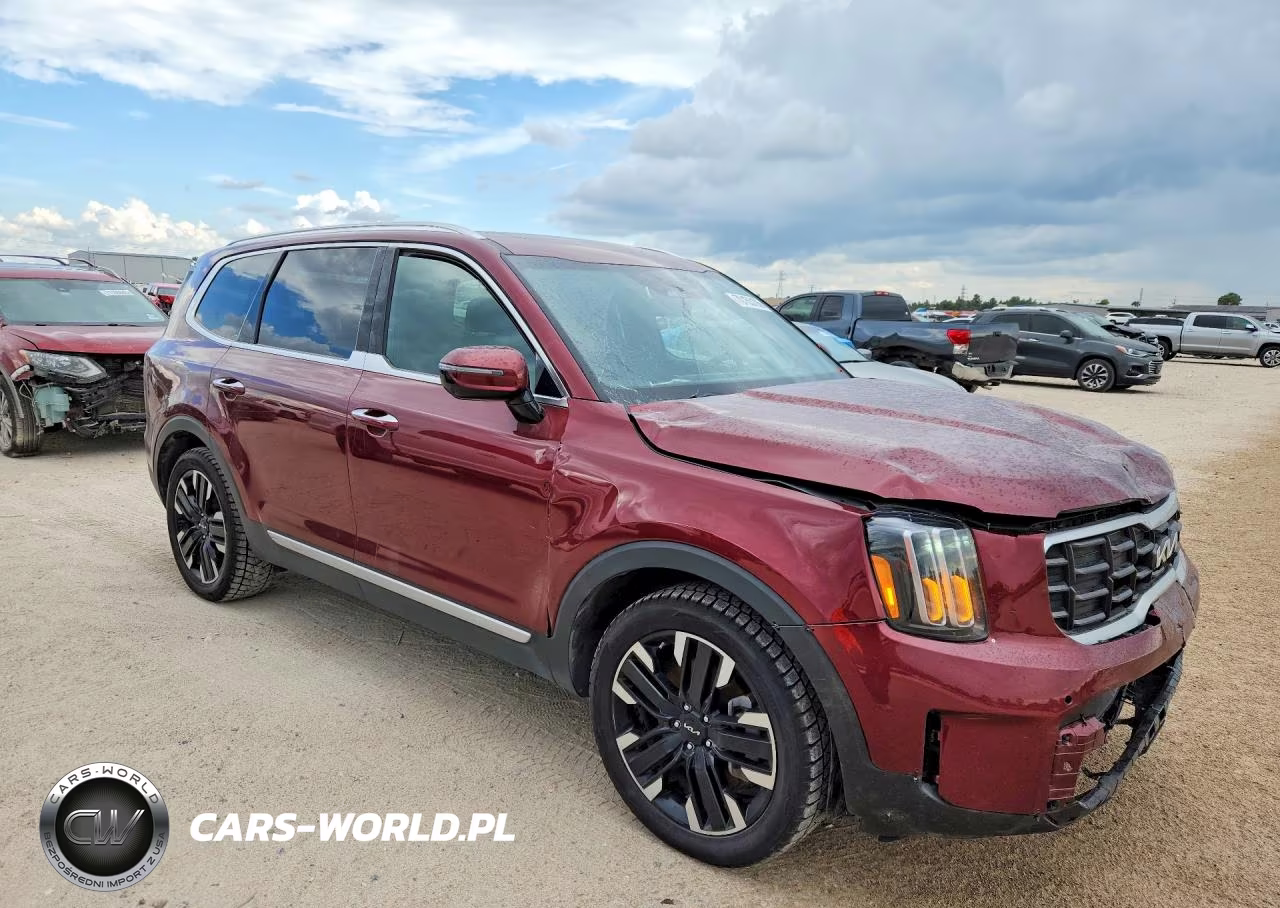2024 Kia Telluride Sx-Prestige VIN:5XYP5DGC5RG427544 - 4