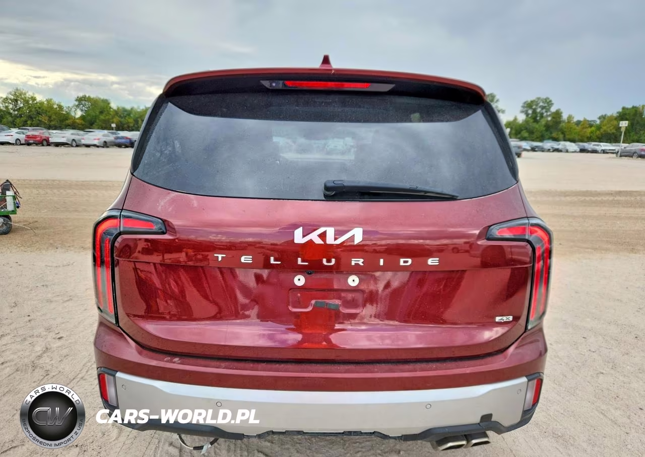 2024 Kia Telluride Sx-Prestige VIN:5XYP5DGC5RG427544 - 6