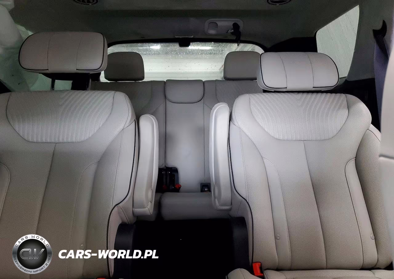 2023 Hyundai Palisade Calligraphy VIN:KM8R7DGE3PU574733 - 10