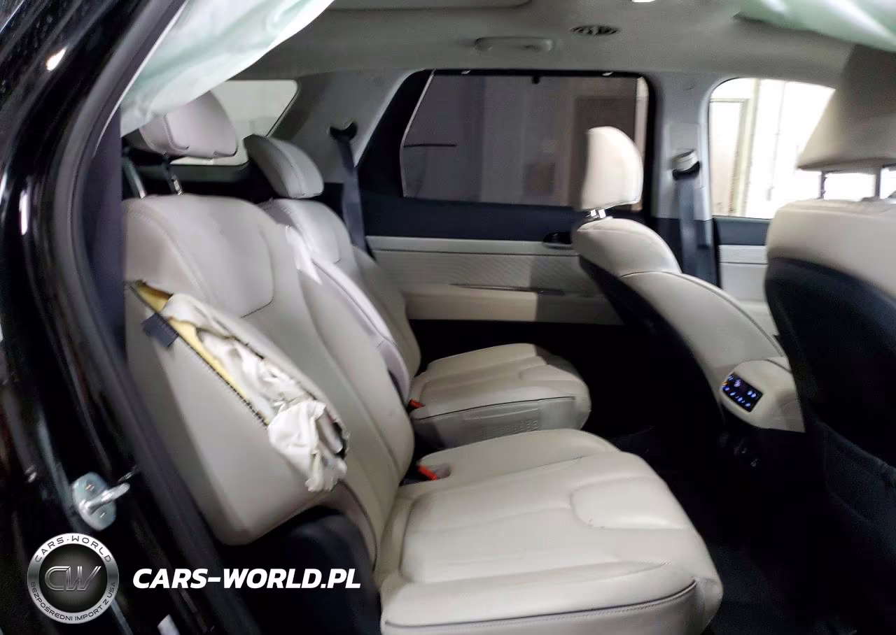 2023 Hyundai Palisade Calligraphy VIN:KM8R7DGE3PU574733 - 11