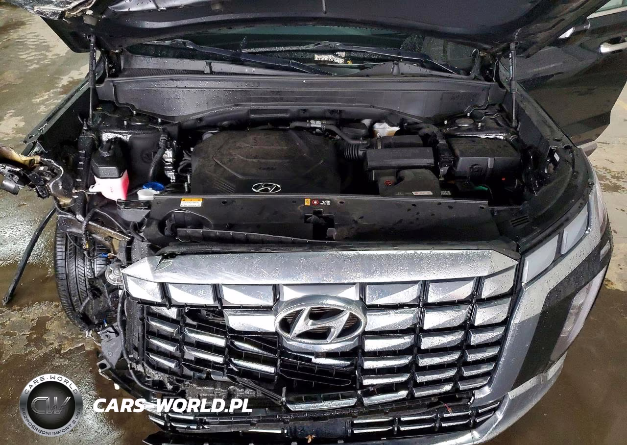 2023 Hyundai Palisade Calligraphy VIN:KM8R7DGE3PU574733 - 12