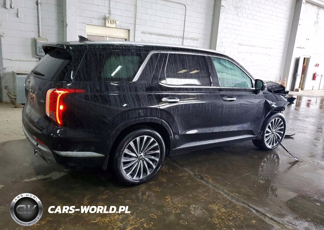 2023 Hyundai Palisade Calligraphy VIN:KM8R7DGE3PU574733 - 3