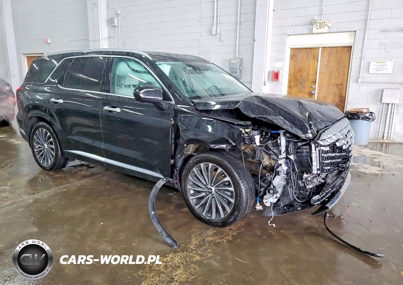 2023 Hyundai Palisade Calligraphy VIN:KM8R7DGE3PU574733 - 4