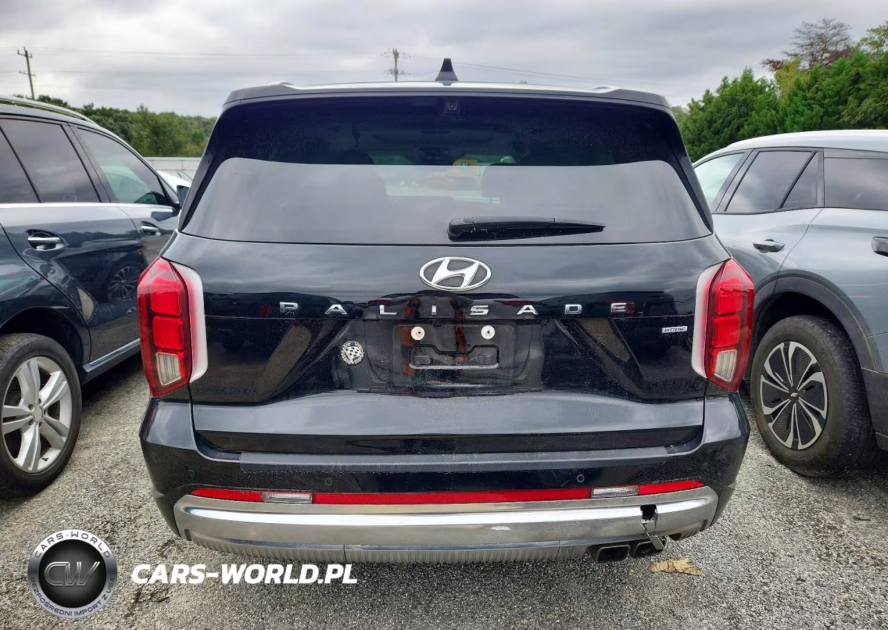 2023 Hyundai Palisade Calligraphy VIN:KM8R7DGE3PU574733 - 6