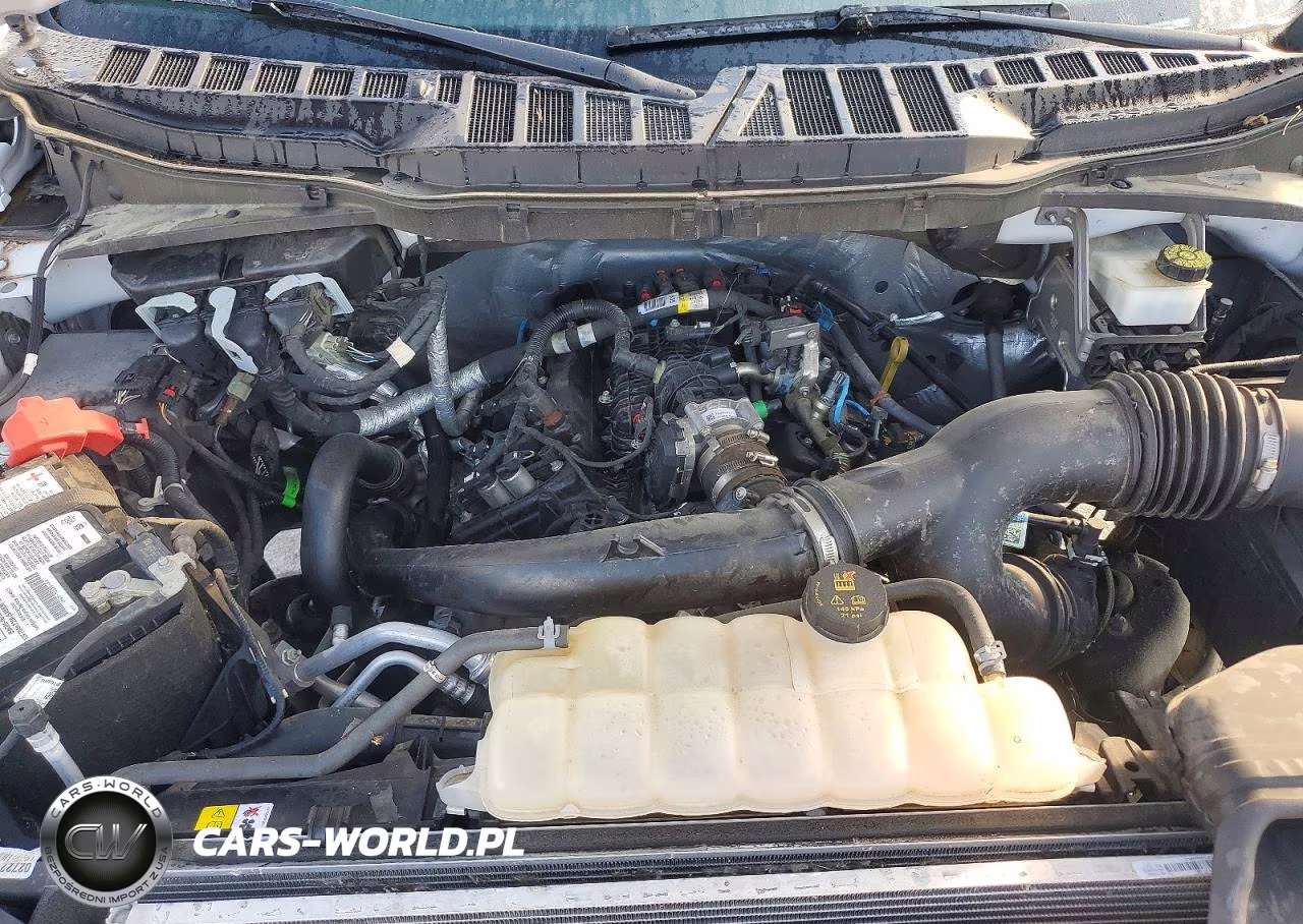 2023 Ford F150 Supercrew VIN:1FTEW1EP8PFA81191 - 11