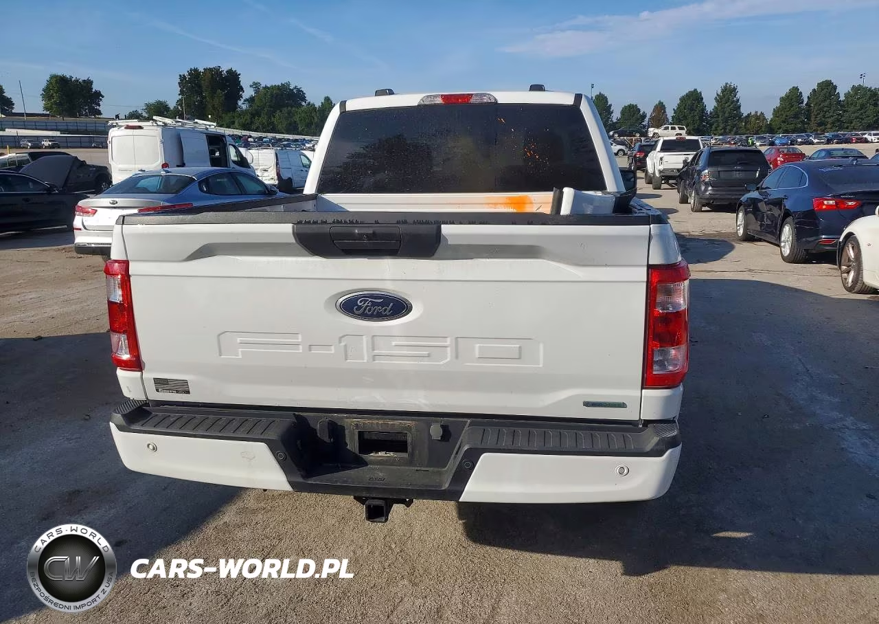 2023 Ford F150 Supercrew VIN:1FTEW1EP8PFA81191 - 6
