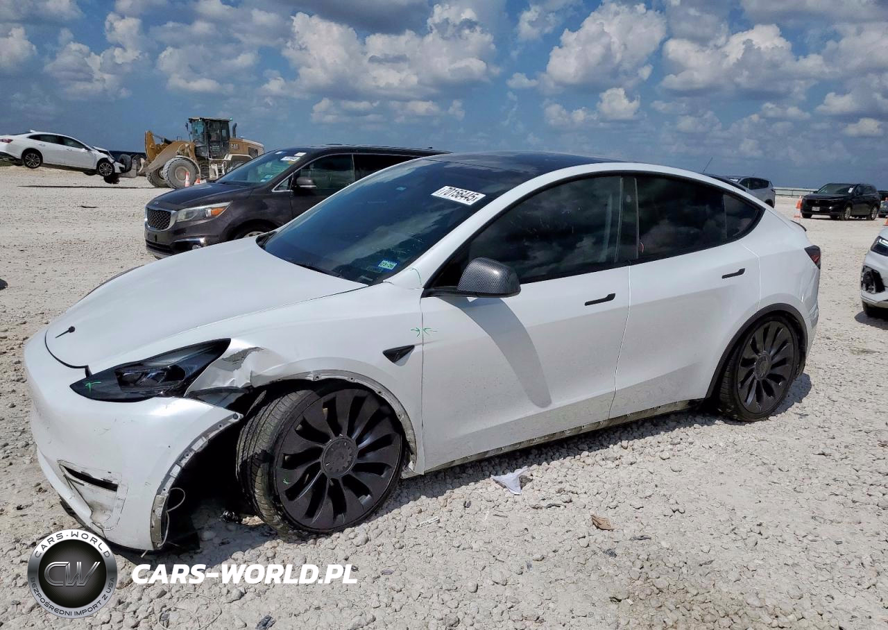 2024 Tesla Model Y