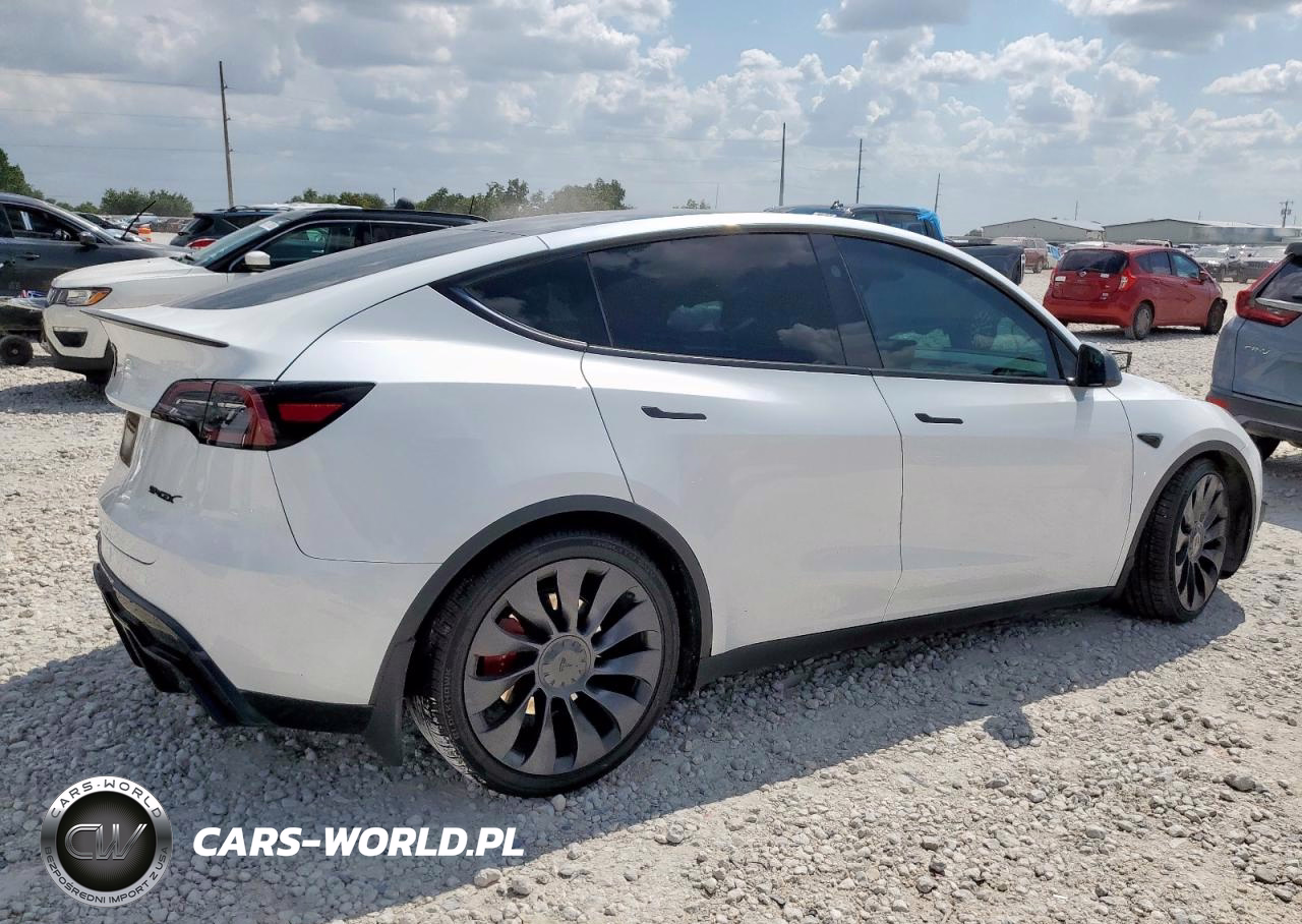 2024 Tesla Model Y VIN:7SAYGDEF6RA267029 - 3