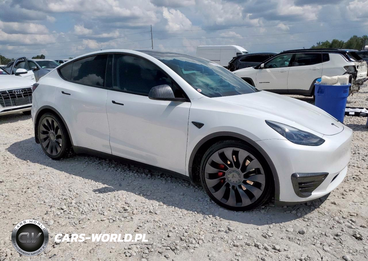 2024 Tesla Model Y VIN:7SAYGDEF6RA267029 - 4