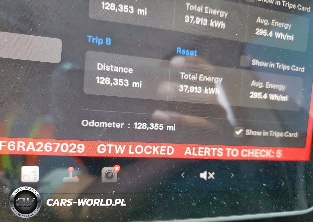 2024 Tesla Model Y VIN:7SAYGDEF6RA267029 - 9