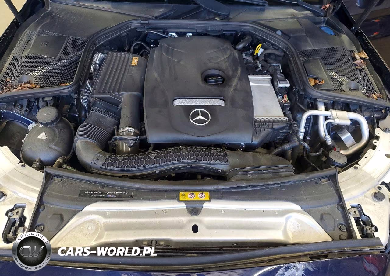 2017 Mercedes-Benz C 300 4Matic VIN:55SWF4KB4HU225175 - 11