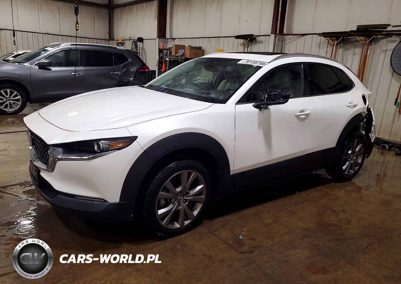 2023 Mazda Cx-30 Premium VIN:3MVDMBDM2PM557495 - 1