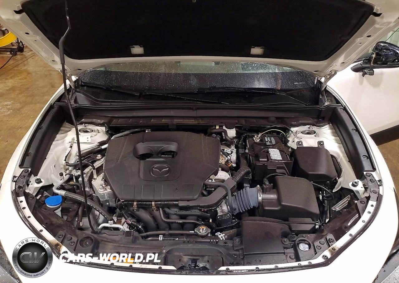 2023 Mazda Cx-30 Premium VIN:3MVDMBDM2PM557495 - 12