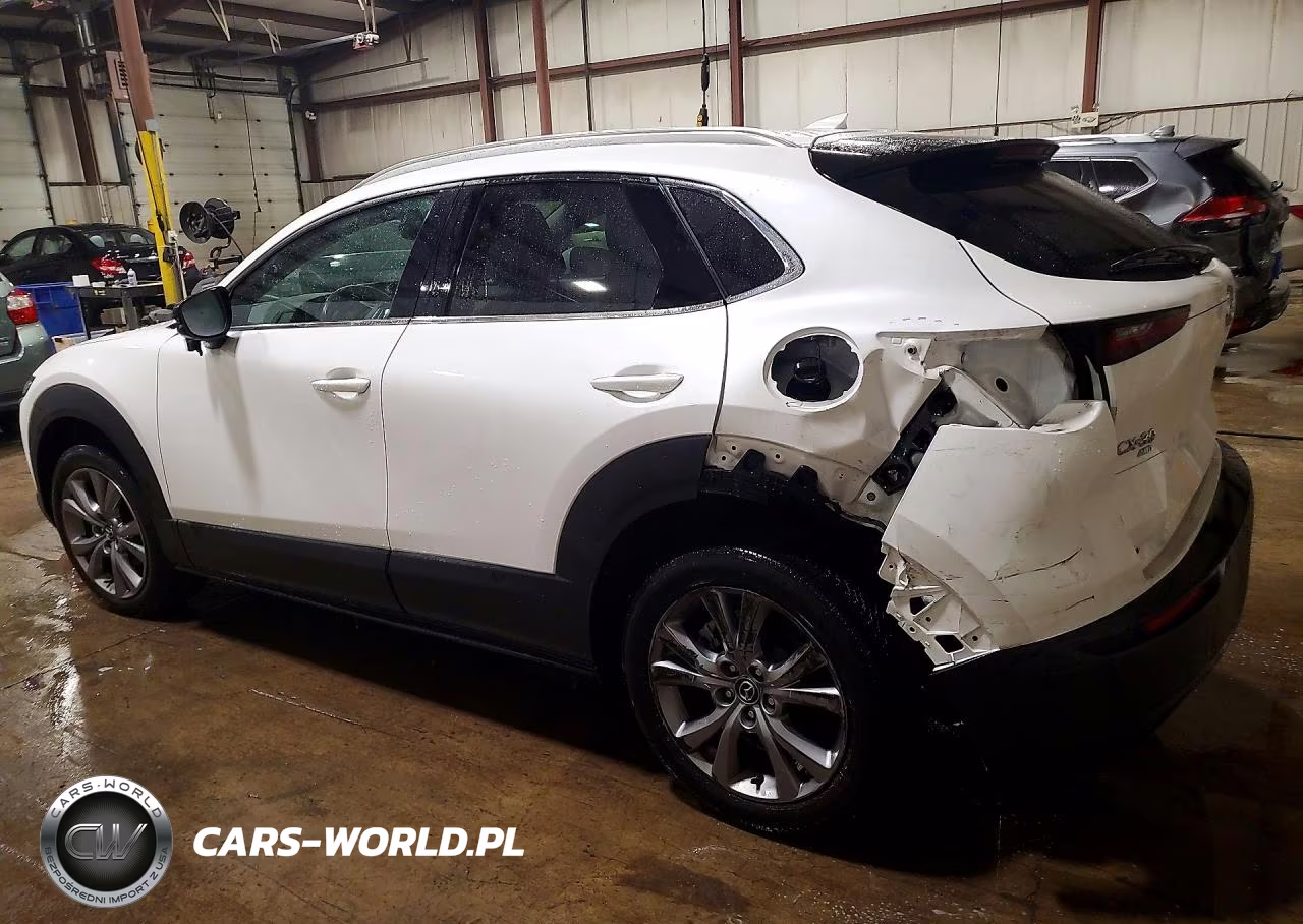 2023 Mazda Cx-30 Premium VIN:3MVDMBDM2PM557495 - 2
