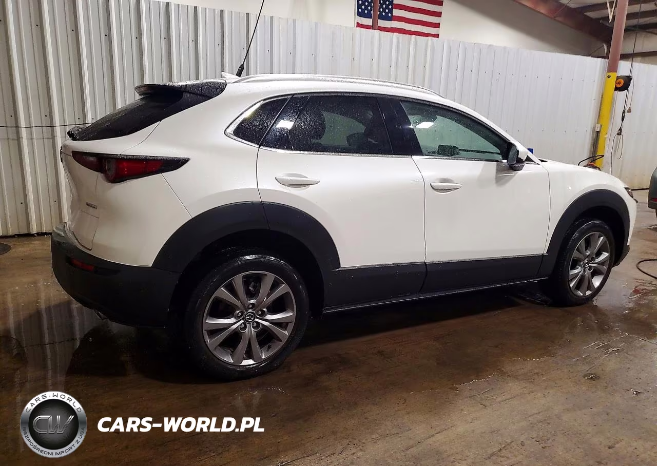 2023 Mazda Cx-30 Premium VIN:3MVDMBDM2PM557495 - 3