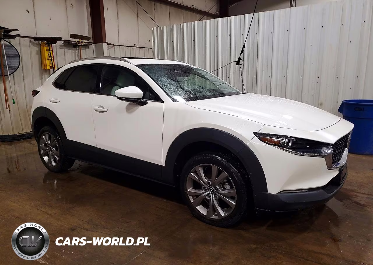 2023 Mazda Cx-30 Premium VIN:3MVDMBDM2PM557495 - 4