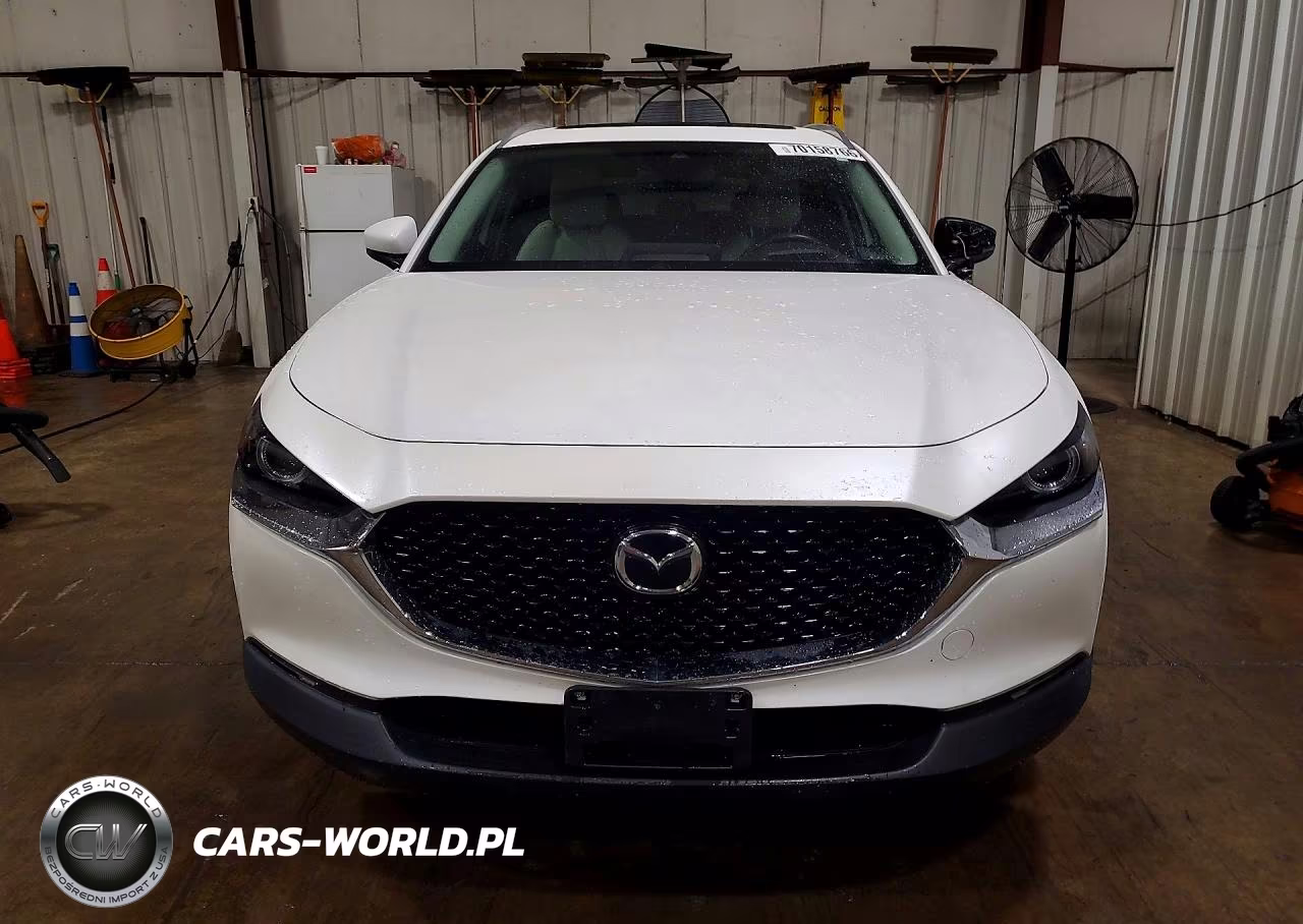 2023 Mazda Cx-30 Premium VIN:3MVDMBDM2PM557495 - 5