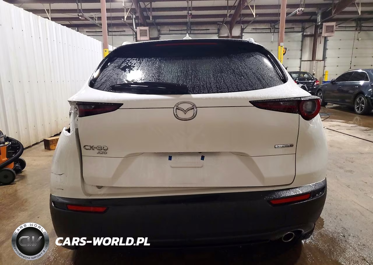 2023 Mazda Cx-30 Premium VIN:3MVDMBDM2PM557495 - 6